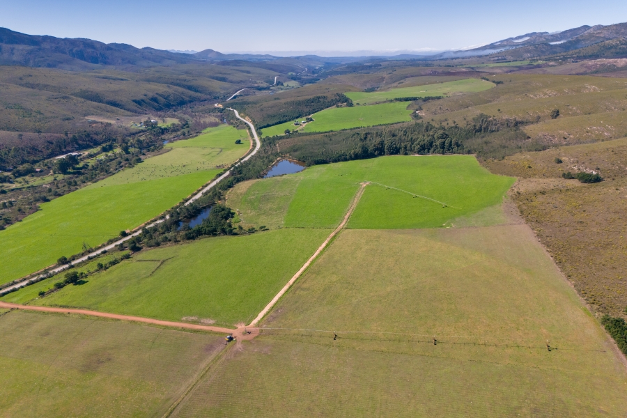 0 Bedroom Property for Sale in Kareedouw Eastern Cape